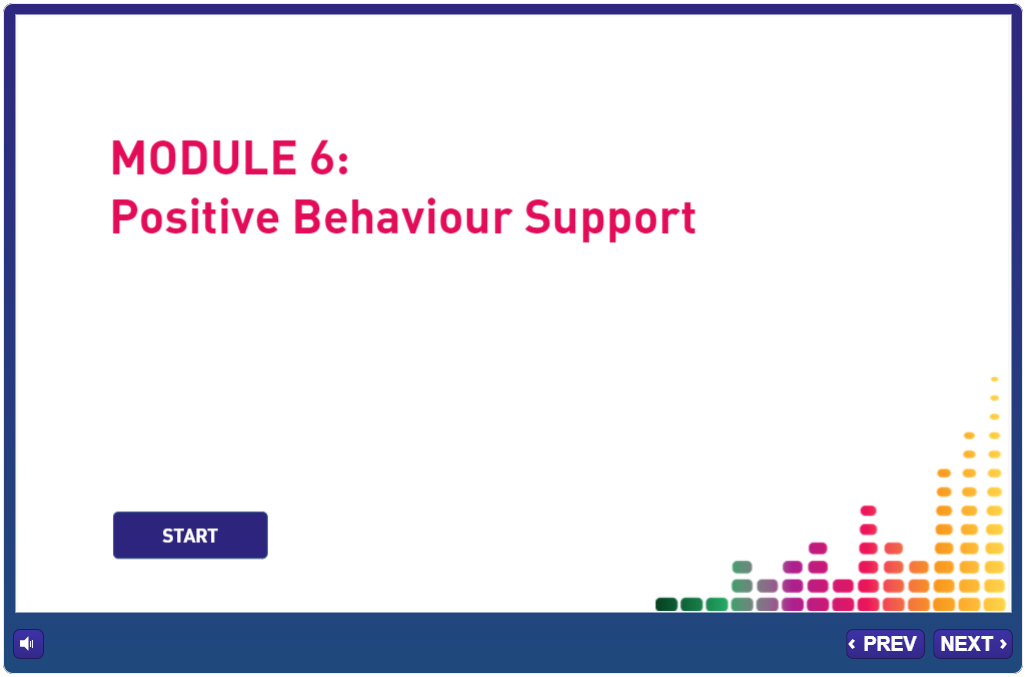 Module 06 – Positive Behaviour Support
