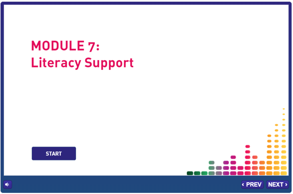 Module 07 – Literacy Support